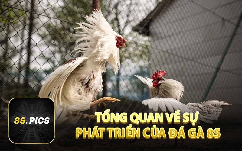 Tổng Quan Về Sự Phát Triển Của Đá Gà 8S